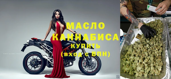 дмт Пересвет